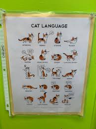 this cat language chart at my local humane society