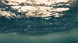 Beach Ocean Spinning Happy Nature Gifs Get The Best Gif On Giphy World_ocean_map.gif ‎(500 × 500 pixels, file size: beach ocean spinning happy nature gifs