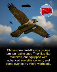 China develops biomimetic bird drones for surveillance