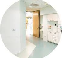G2 BioBlend - PVC-Free Wall Protection | Inpro Corporation