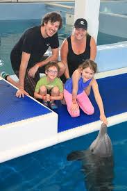 Clearwater Marine Aquarium Changed The Way I See Dolphins Forever Clearwater Marine Aquarium Marine Aquarium Clear Water