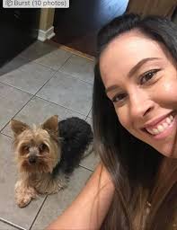 Lost small black dog