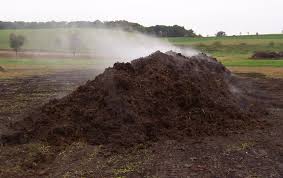 We did not find results for: Compost Rodale Institute