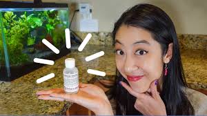 2.8.1. Bacteria in a Bottle in Depth