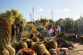 It is a day when guatemalans remember their dead loved ones and celebrate that they were able to meet them or to be part of their family. Cactus Country Home Facebook