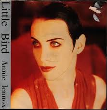 Annie Lennox: Little Bird (Music Video 1992)