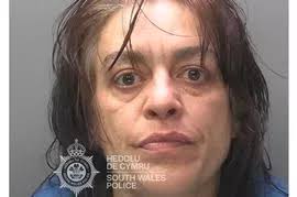 University of Glamorgan results 2008