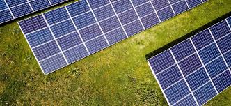 We did not find results for: How To Heat A Greenhouse With Solar Panels Greenhouse Planter