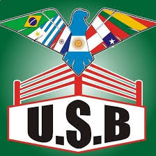 Media in category copa sudamericana logos. Union Sudamericana De Boxeo Usb Photos Facebook
