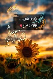Check spelling or type a new query. ØµÙˆØ± ÙˆØ±Ø¯ Ø¯ÙˆØ§Ø± Ø§Ù„Ø´Ù…Ø³