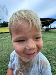 Fried pies!!! #frobergsfarm #pies #bakery