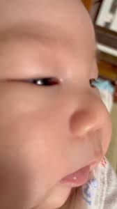 伊比與ㄚㄚ成長寫真