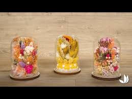 Diy Deco Fleurs Sechees Sous Cloche Jardinerie Truffaut Tv Youtube Fleurs Sechees Bricolage Et Loisirs Creatifs Diy