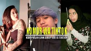 Semoga dengan adanya artikel ini kalian akan paham alasan mengapa para artis tiktok, bahkan artis tv maupun youtuber tidak mempublikasikan nomor wa mereka. Nomor Wa Artis Tik Tok Yang Asli Tondanoweb Com
