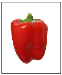 Preheat oven to 400 degrees. Cajun Belle Bell Pepper Plants Piedmont Farm Garden