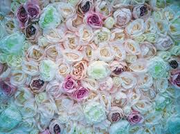 Right now we have 70+ background pictures, but the number of images is growing, so add the webpage to bookmarks and. Colorful Beautiful Pink Flowers Background Natural Roses For Valentine Day Spring Nature Background For Desktop And Wallpaper Copy Space Stock Photo Picture And Royalty Free Image Image 143768901