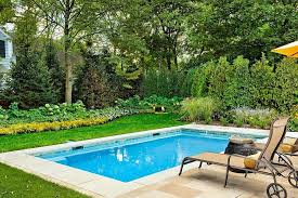 There are many types of pools like gunite pools, fiberglass pools, vinyl pools or optimum pools. Swimming Pool Design For Home Small Inground Pool Small Backyard Pools Simple Pool