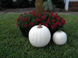 With either bright spring blossoms or brilliant fall colors, a native hardwood tree planted in your front yard will bring years of beauty to your home's exterior. 20 Ways To Help Create A Fall Inspired Front Lawn