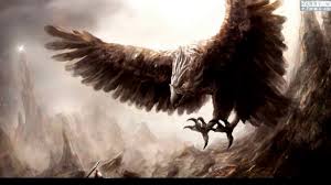 Gambar Burung Elang Api Pickini You will love this wonderfull. gambar burung elang api pickini