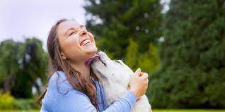 Can I Get Sick From My Dog Licking My Face Prevention