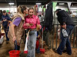Check out Hays County Livestock Show photos in Dripping Springs, Texas