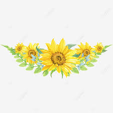 Bunga matahari adalah bunga nasional ukraina dan merupakan bunga resmi negara bagian kansas, amerika serikat. Gambar Musim Semi Bunga Matahari Kuning Elemen Ilustrasi Cat Air Digambar Tangan Clipart Bunga Matahari Bunga Matahari Musim Semi Png Transparan Clipart Dan File Psd Untuk Unduh Gratis