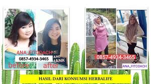 8 resep diet jamu kunyit ala rumahan yang mudah dan enak dari komunitas memasak terbesar dunia! Resep Ramuan Diet Alami Wa 0857 3295 0547 Concentrate Herbalife Harga Rembang Https Wa Me 6285749343465 Langsing Dalam 25 Hari Makan 5x Sehari Didampingi Sampai Berhasil Rencana Makan Potensi Turun 3 9 Kg