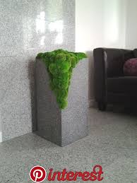 Perfekte Dekoration Fur Das Badezimmer Stabilisiertes Moos In 2020 Blumengarten Design Moos Dekor Pflanzengestaltung