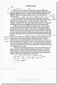 Pin On Essay Writing Help