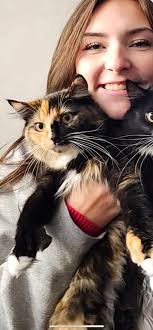 Nala and Luna are right at home! (formally Cheyenne and Ashton)