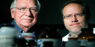 Doctors pursuing pill to fade traumatic memories