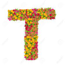 Create your own fun newsletter template to use again and again to connect with readers and grow your customer ba. Letter T Alphabet Made From Zinnia Flower Abc Concept Type As Logo Typography Design With Clipping Path Stock Photo Picture And Royalty Free Image Image 88173949