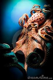 Scary Giant Octopus Giant Pacific Octopus Ocean Creatures Octopus