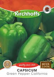 Image result for Capsicum