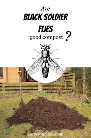 With a little effort and experimenting, you. Pin On Black Soldier Fly Bsf Farming