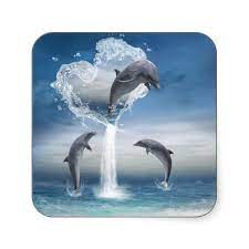 The Heart From The Dolphins Sticker Zazzle Com Dolphins Dolphin Gifts Dolphins Animal