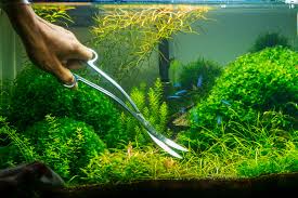 The approach that most competition aquascapers use is to create steep slopes is by simply layering rock/wood thickly. How To Create An Aquascape With A Waterfall Ijugaad Blog