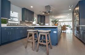 33 Blue And White Kitchens Design Ideas Transitional Kitchen Design Kitchen Design Blue White Kitchens
