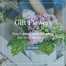 Maybe you would like to learn more about one of these? Home Pick A Lily Bexleyheath Kent