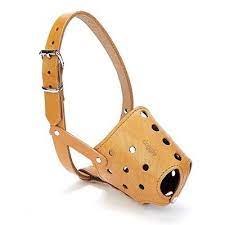 kopek urunleri panosundaki pin