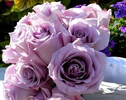 Flowers that mean love at first sight. Lavender Roses Symbolize Love At First Sight They Are Also Used To Express A Very Deep Love Or Enchantment Lavender Roses Rose Wedding Bouquet Wedding Flowers