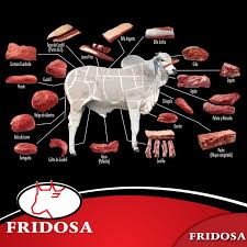 Es el corte con más terneza en la res, es de forma cónica, alargada y aplanada de arriba hacia abajo. Facebook