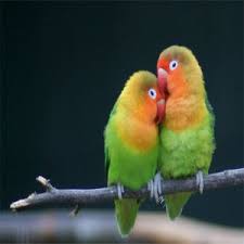Pin On Banglastall Com