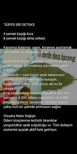 Feride Seyehat Adli Kullanicinin Ayse Tablolar Panosundaki Pin Detoks Saglikli Yasam Evde Hazirlabilen Ilaclar