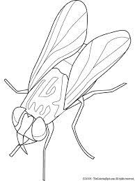 You could also print the image while. Housefly Coloring Page Audio Stories For Kids Free Coloring Pages Colouring Printables