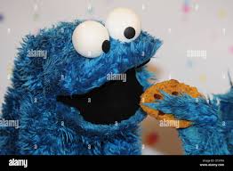 Image result for tbn:O_xs3byc5x8NoM::www.suusje.com/pics/cookiemonster.jpg