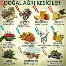 Nese Nin Gozdeleri Saglik Beslenme Saglikli Beslenme