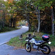 takashi narukawa さんのinstagramをピンしています yamahaが美しい 岐阜 せせらぎ街道 秋 セロー セロー250 ツーリングセロー ツーリング 森 バイクのある風景 serow motor scooters instagram instagram posts