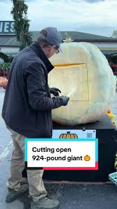 Image result for fat ass pumpkin
