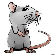 This is broken down into basic shapes where you can accomplish the overall aspect of the character easily. Rat Cartoon Drawing In 4 Steps With Photoshop Cartoon Drawings Cartoon Rat Cartoon Animals